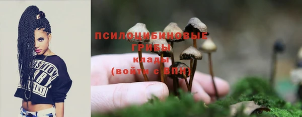 бошки Аркадак