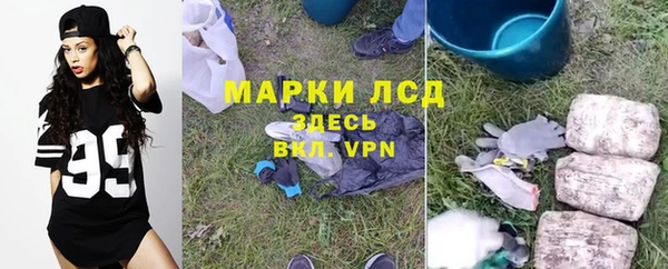 ГАЛЛЮЦИНОГЕННЫЕ ГРИБЫ Алексин