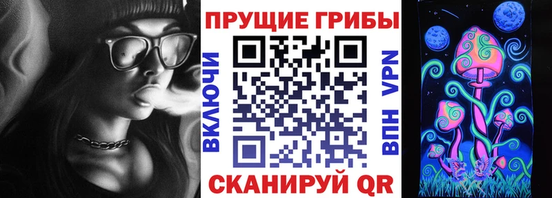 Галлюциногенные грибы Psilocybe  Невинномысск 
